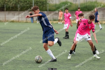 IMG_2044.jpg