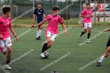 IMG_2064.jpg