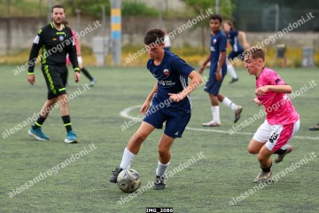 IMG_2086.jpg