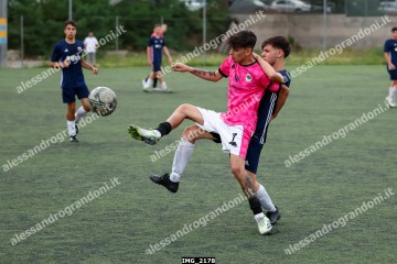 IMG_2178.jpg