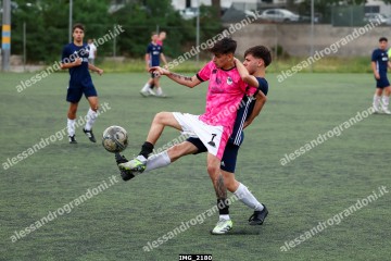 IMG_2180.jpg