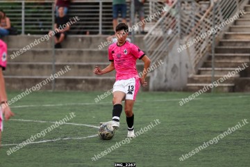 IMG_2267.jpg