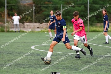 IMG_2295.jpg