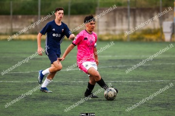 IMG_2299.jpg