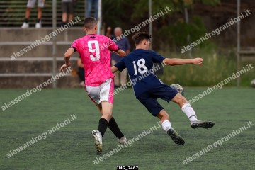 IMG_2467.jpg