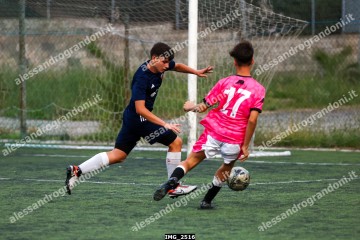 IMG_2516.jpg