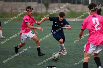 IMG_2535.jpg