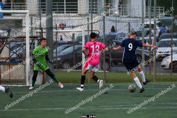 IMG_2545.jpg
