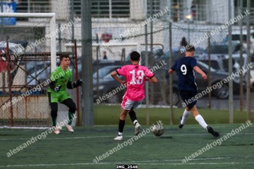 IMG_2548.jpg