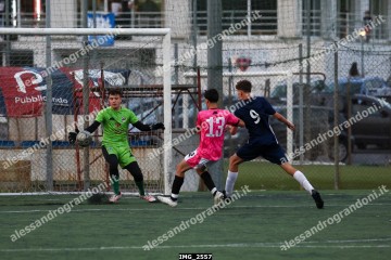 IMG_2557.jpg