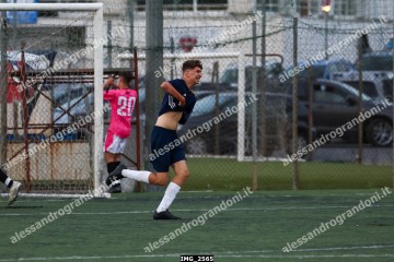 IMG_2565.jpg
