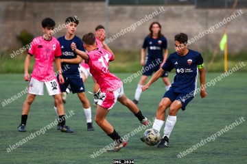 IMG_2834.jpg
