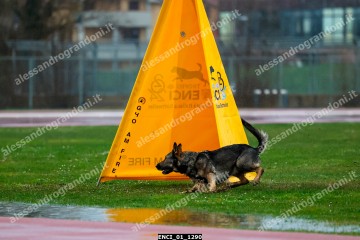 ENCI_01_1290.jpg