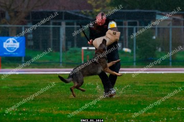 ENCI_01_1614.jpg