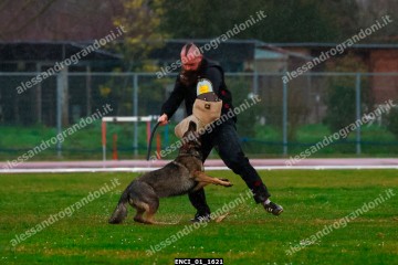 ENCI_01_1621.jpg