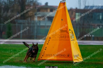 ENCI_01_1785.jpg