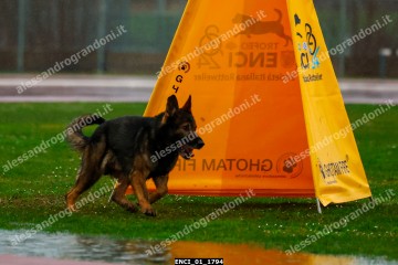 ENCI_01_1794.jpg
