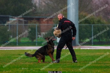 ENCI_01_2079.jpg