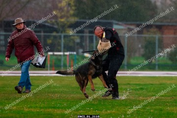 ENCI_01_2110.jpg