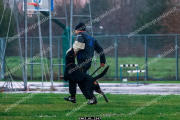 ENCI_01_2247.jpg