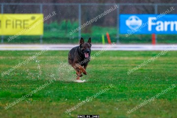 ENCI_01_2482.jpg