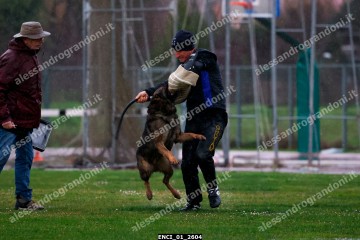 ENCI_01_2604.jpg