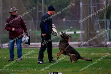 ENCI_01_2616.jpg