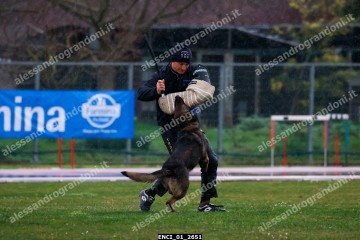 ENCI_01_2651.jpg