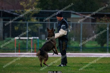 ENCI_01_2661.jpg