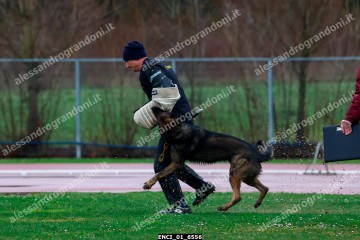 ENCI_01_6556.jpg