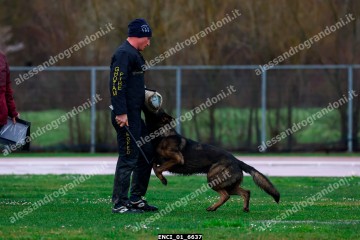 ENCI_01_6637.jpg
