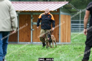 IMG_0015.jpg