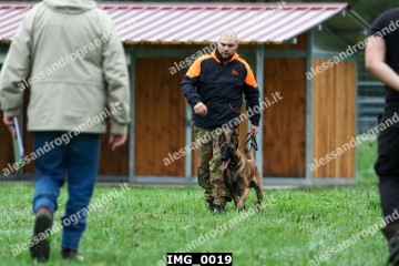 IMG_0019.jpg