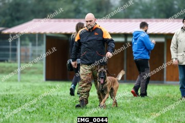 IMG_0044.jpg