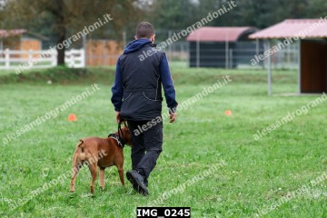 IMG_0245.jpg