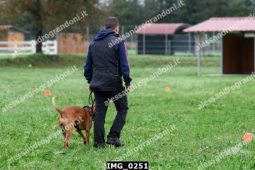 IMG_0251.jpg