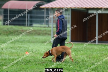 IMG_0274.jpg