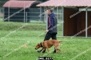 IMG_0277.jpg