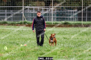 IMG_0310.jpg