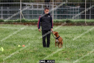 IMG_0321.jpg