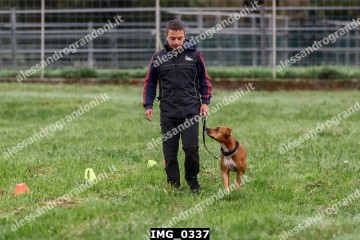 IMG_0337.jpg
