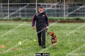 IMG_0341.jpg