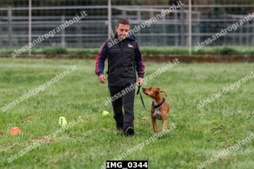 IMG_0344.jpg