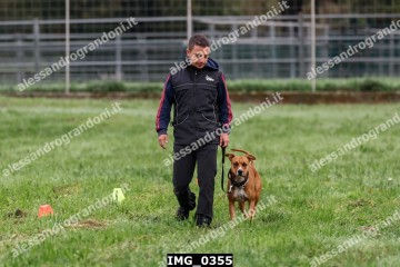 IMG_0355.jpg