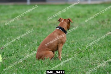 IMG_0412.jpg