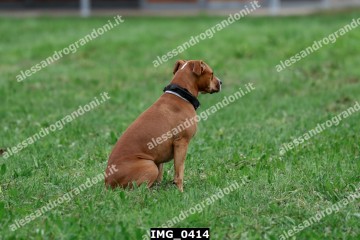IMG_0414.jpg