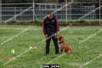IMG_0439.jpg
