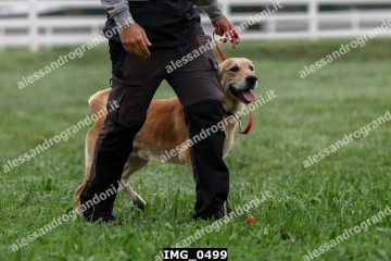 IMG_0499.jpg