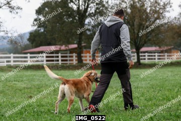 IMG_0522.jpg
