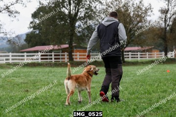 IMG_0525.jpg